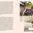 Udon-Nudeln aus Weizenmehl, Text mit Sorten- und Empfehlungstipps. Rechts oben: Udon-Schüssel, daneben Teller mit grüner Beilage.