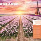 NIEDERLANDE: Eine Entdeckungstour durch Holland. Tulpenfeld im Abendlicht mit einer Windmühle im Hintergrund.