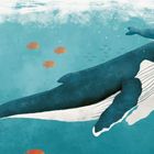 "NEUGEBOREN: Sobald das Baby da ist, schiebt Arya es zärtlich zur Oberfläche zum Atmen. Walbabys können direkt schwimmen."

Eine Illustration zeigt zwei Wale und orangene Fische im Wasser.