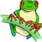 Eine bunte Illustration eines Frosches mit roten Augen auf einem grünen Ast.