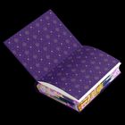 Cover/Produkt Ansicht vergrößern