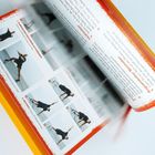 Texte: "4. Dynamische Knieheben auf einem Bein." "2. Hüftheber." "4. Seitarm." Illustrationen von Übungen in einem Buch.