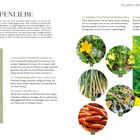 "Suppenliebe" steht groß oben. Rechts ein Katzenkopf zwischen Pflanzen mit dem Text "Phoebe liegt auch gerne... Suppenbeet".