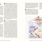 **NEUROBIOLOGIE DES KINDLICHEN ERLEBENS UND VERHALTENS**

Übersichtlicher Text mit Diagramm eines Hauses, das das Gehirn erklärt.