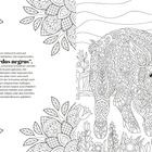 Text über "cerdos negros", die auf Mallorca gezüchtet werden. Daneben detaillierte, filigrane Schweine-Illustration mit Pflanzen.