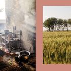 Links kocht eine Frau in einer einfachen Küche, rechts ein Feld mit Bäumen am Horizont.