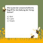 Quiztext fragt nach dem Begriff für Honigbienengattung. Optionen: a) Apis, b) Lupis, c) Vulpis. Illustration mit Bienen.