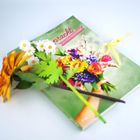 Ein Buch mit dem Titel "pracht - der Frühlingsstrauß". Darauf liegt ein bunter Strauß aus Kunstblumen.