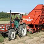 Text: "Grimme MK700," "45-66 DT." Ein Traktor mit Anhänger auf einem Feld. Ein Mann fährt ihn. Hintergrund: Felder und Bäume.