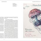 Links Fließtext von Rainer Willmann, rechts Illustration einer Qualle "Florence Parthenia" mit mehrfarbigen Tentakeln.