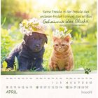 Zwei Tiere sitzen im Gras, ein Hund und eine Katze, beide tragen Blumenhüte. Oben ein Zitat von Georges Bernanos.