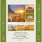 "Fürchte dich nicht, denn ich bin mit dir; hab keine Angst, denn ich bin dein Gott! Jesaja 41,10" - Fotos von Schafen, Natur.