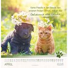 Zitat: "Seine Freude in der Freude des anderen finden können, das ist das Geheimnis des Glücks." Hund und Katze mit Blumenhüten.