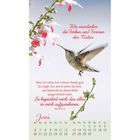 Text: "Wie wunderbar die Farben und Formen der Natur. Was ich sehe, tut meiner Seele gut. Es zeigt mir, wie kreativ du bist, wie liebevoll du diese Welt eingerichtet hast. Es begeistert mich, das alles in mich aufzunehmen. Elke Werner. Juni." Ein Kolibri schwebt vor roten und weißen Blüten. Darunter ein Kalendarium für Juni.