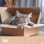 Kalender-April, Wochentage und Daten in einem Raster. Eine schlafende grau getigerte Katze liegt in einem Karton.