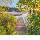 Kalender des Monats April. Ein Holzsteg führt durch grüne Pflanzen zu einem stillen See im Sonnenlicht.