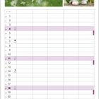 „Happy-go-lucky“ Burmakätzchen, April. Bilder von Kätzchen im Gras, darunter ein Kalender mit eingetragenem Monat.