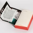 Text auf der linken Seite: "Malou Landmann...". Rechts: "Christine Brand Vermisst – Der Fall Lucass". Ein Buch mit rotem Einband.