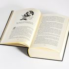 Ein Buch ist aufgeschlagen. Links oben steht: "Das Treffen der alten Freunde. Eine unsanfte Unterbrechung".