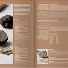"Morcheln & Trüffel" - Informationen über Herkunft, Eigenschaften und Zubereitung von Morcheln und Trüffeln. Enthält auch Funfacts.