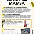 Schwarze Mamba, giftig und aggressiv. Länge: 2,2 bis 4,5 m. Lebensraum: Afrika. Nahrung: Mäuse, Vögel. Waffe: Gift. Bild zeigt Schlange.