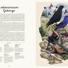 Lebensraum: Gebirge. Text beschreibt Gebirgsregionen und Anpassungen von Vögeln. Rechts Illustration mehrerer Vogelarten.