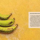Text: "Was sind grüne Bananen?" Beschreibung: Drei grüne Bananen liegen auf einer gelben, strukturierten Oberfläche.
