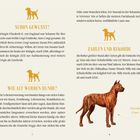 SCHON GEWUSST? ZAHLEN UND REKORDE, WIE ALT WERDEN HUNDE? Illustration von Hunden und Text über ihre Eigenschaften.