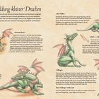 Die Ausbildung kleiner Drachen. Anweisungen für das Training von Drachen, illustriert mit Bildern eines Jungen und Drachen.