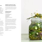 Links sind Rezepte für "Polnische Salzgurken", "Kurz fermentierte Salzgurken" und "Fermentierter Gurkensalat". Rechts ein Einmachglas mit Gurken und Kräutern.