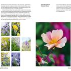 "Jahreszeitlicher Wandel" auf einer Doppelseite mit Fotos von Blumen, wie rosa und lila Blüten. Tabellen listen Frühlings- und Spätblüher.