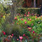 Kalender, April 2023. Foto: Garten mit bunten Tulpen vor einer Holzhütte, blühender Baum im Vordergrund.