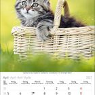 April 2027, Wochentage Montag bis Sonntag, Zahlen 1-30. Süßes Kätzchen sitzt in einem Korb auf grünem Hintergrund.