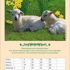 "April 2027. Wettervorhersage: Anfang windig, Regen. Mitte warm, Ende Regen. Zwei Lämmer im Gras, gelbe Narzissen im Hintergrund."