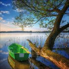 Ein grünes Ruderboot liegt an einem ruhigen Seeufer, neben einem schrägen Baum, umgeben von klarer blauer Himmel.