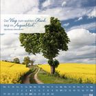 "Der Weg zum wahren Glück liegt im Augenblick." Baum am Feldweg, umgeben von gelben Rapsfeldern und Wolken am Himmel.