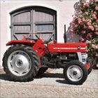 Text: "Massey Ferguson 135". Ein roter Traktor vor einem alten Tor, daneben rosa blühende Rosenbüsche.
