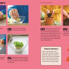 Sechs Schritte zur Wiederverwendung von Pflanzen-Strünken. Bilder zeigen Hände beim Schneiden, Wasserbehälter und Pflanztopf.