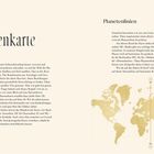 Einführung; Deine Sternenkarte; Die Sternenkarte deuten; Planetenlinien. Goldene Weltkarte mit vertikaler Linie und Symbol MC.