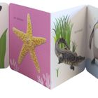 "Oberer Text: Erstes Lernen, Sprache lernen mit Spiel & Spaß. Verschiedene Kinderbücher und Lernmaterialien abgebildet."