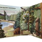 Titel "IN KALTEN REGIONEN", darunter Text über Tier- und Pflanzenleben. Illustration eines verschneiten Waldes mit Tieren.