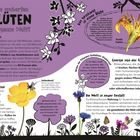 Wie eroberten BLÜTEN die ganze Welt? Blüten dienen der Fortpflanzung. Spätzünder: Pflanzen siedelten sich vor 500 Millionen Jahren...
