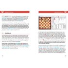 "Spiele Explorer" erklärt wie Figuren im Plan Explorer zeigen. Diagramm mit Schachbrett und Listen zeigt Züge und Partien an.