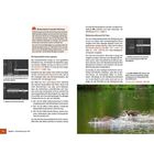 "ISO-Automatik bei manueller Belichtung" erklärt Vorteile und Anpassung. Unten rechts: Enten schwimmen im Wasser.