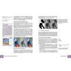 Konvertierungshinweis, Farbabbildung der im Text erwähnten Bilder, Kapitel 6: Farben: von bunt bis monochrom, Farbabbilde entfernen. Links: Maus-Modus. Mitte: Graustufen. Rechts: Schwarzweiß.