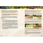 Kapitel 3: Bauen. Fundament verhindert das Spawnen von Ressourcen. Einrasten und Ausrichtung erläutert Bauweisen.