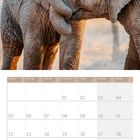 Kalenderblatt für April 2027. Zwei junge Elefanten umarmen sich mit ihren Rüsseln.