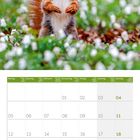 Kalender unten: April 2027. Große Zahlen mit Wochentagen. Tier: Eichhörnchen auf grünem Rasen mit weißen Blüten.