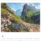 "Churfirsten (2306 m), Alpstein, Kanton St. Gallen" zeigt hohe Felsen, grüne Hänge und im Vordergrund blaue Blumen.