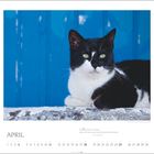 April, Zitat: "Manche tun nichts..."

Schwarz-weiße Katze vor blauer Wand, liegend.